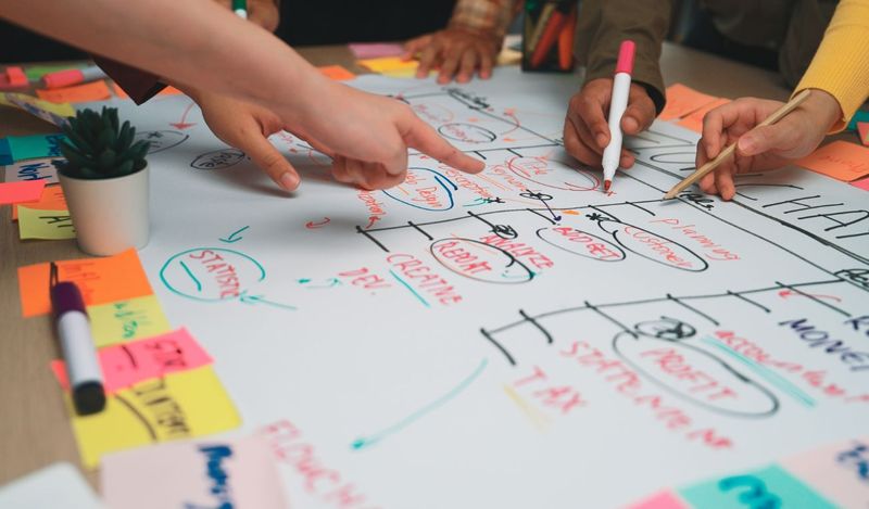 A person reviewing a test plan and test cases