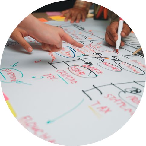 A person reviewing a test plan and test cases